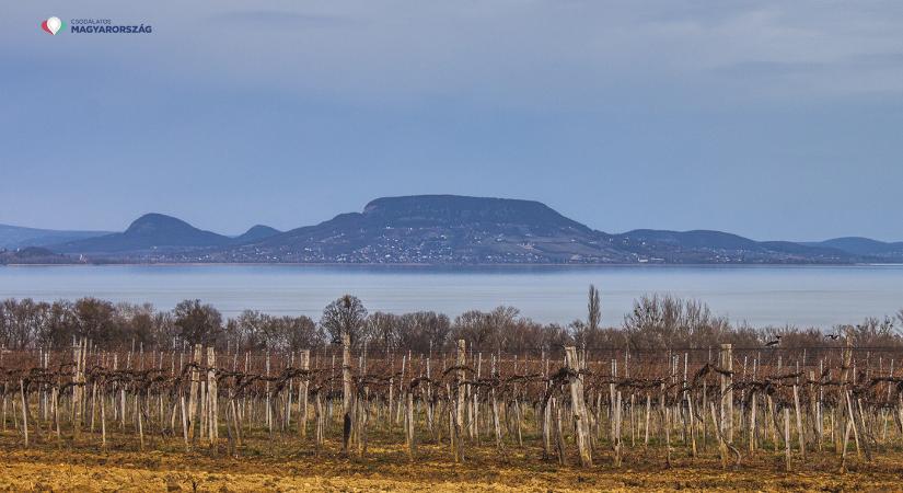 Magyar kultúra napja 2025 Balatonberény