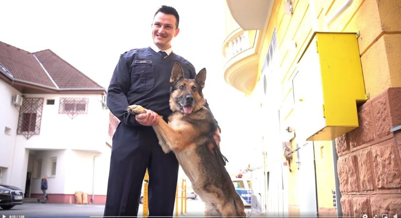 Nyugdíjba vonul a hős rendőrkutya, giga csontot kapott – VIDEÓ