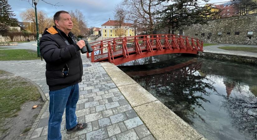 Téli madáretetés: szükséges vagy nem?