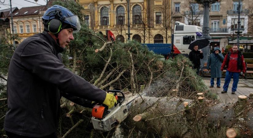 Sokáig hallgatta a karácsonyi zenét, most láncfűrésszólót játszottak a debreceniek kedvencének