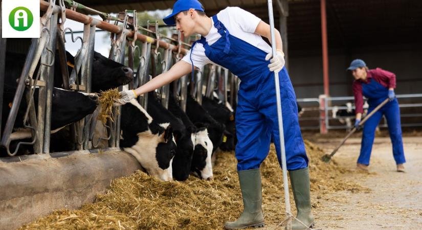 Újabb fordulat a Fülöp-szigeteki vendégmunkások ügyében