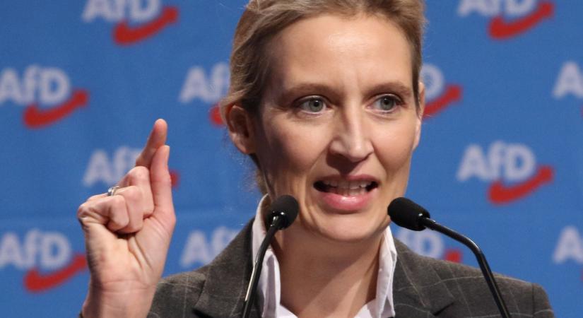 Musk–Weidel-interjú: a német média szerint nem történt semmi, az AfD mégis egyre népszerűbb