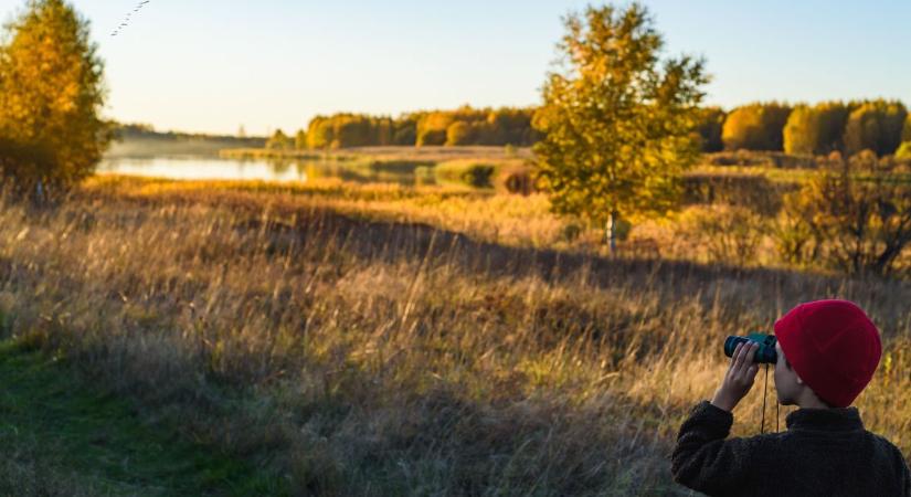 Madárszámlálásra hívja a lakosságot az MME február végéig