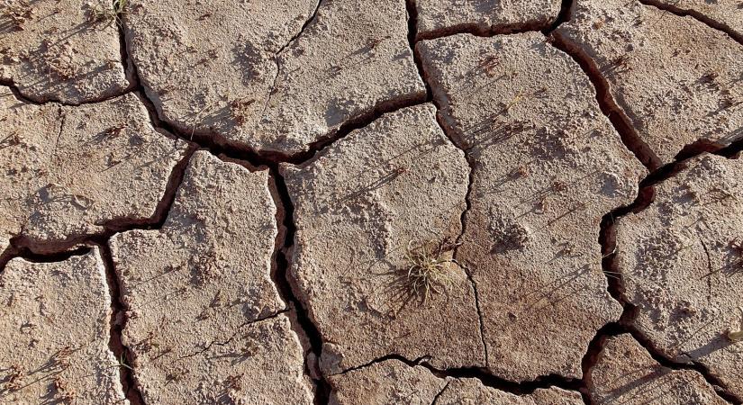 Tavaly először lépte át az 1,5 Celsius fokos felmelegedési küszöböt az átlaghőmérséklet