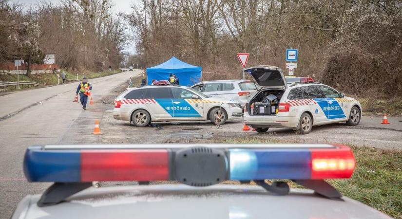 Megszólalni sem tud a sokktól az édesapa, akinek elgázolták a kislányát és a feleségét péntek reggel