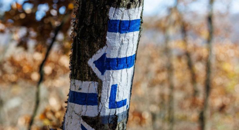 Tovább gyűjtötték a Kéktúra kilométereit