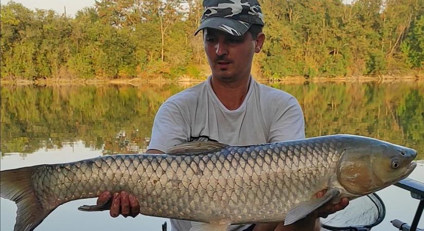 Még várják a rekordfogásokat Csongrád-Csanád vizeiből