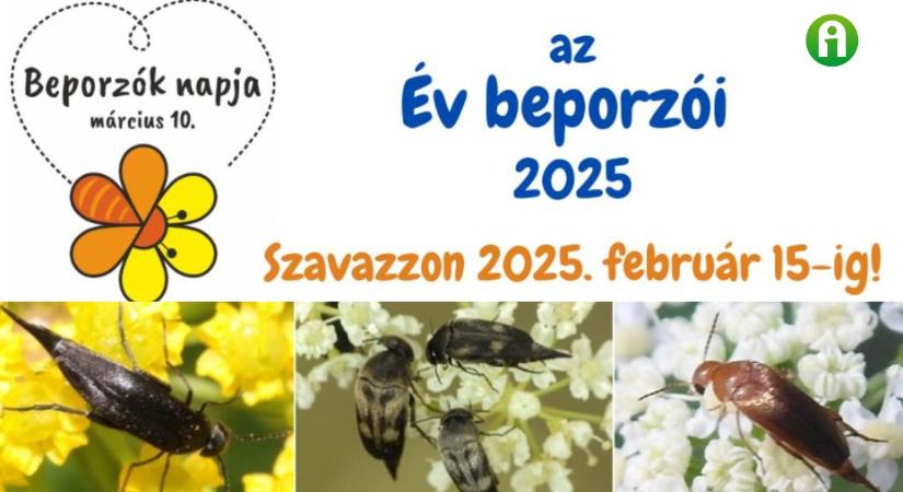 Az Év beporzói 2025 – Ismerd meg őket te is!