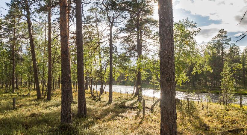 Kirándulni ment a férfi a nemzeti parkba, egy rossz mozdulat miatt horrorisztikus vége lett, soha nem lesz ugyanolyan az élete