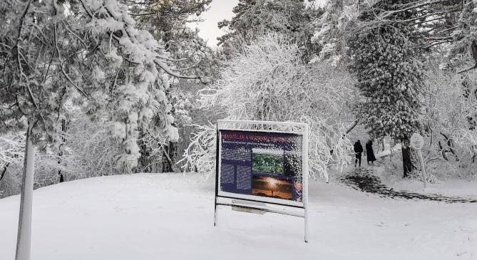 Mesebeli téli tájat varázsolt a hidegfront a Mecsekbe