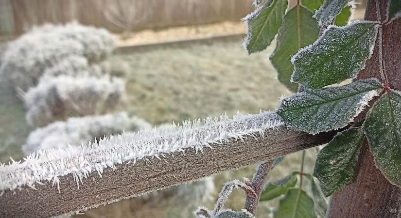 Megfagyott gumikacsa alussza téli álmát