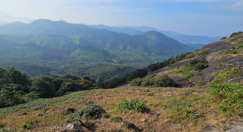 Eravikulam Nemzeti Park