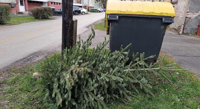 Új rend a szemétszállításban – Mutatjuk a januártól érvényes változásokat