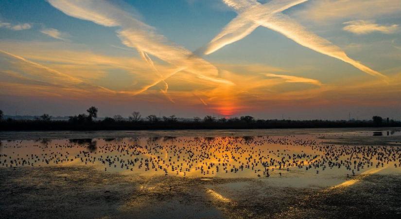 Öt évtizedes jubileumát ünnepli a Kiskunsági Nemzeti Park