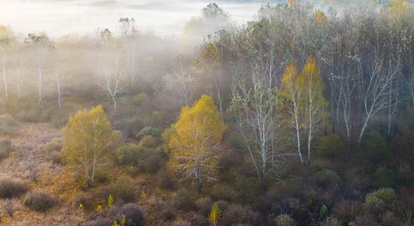 50 éve a természet szolgálatában – Jubileumot ünnepel a Kiskunsági Nemzeti Park