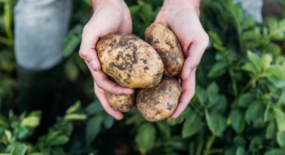 Jól indult az év a kistermelőknek és az őstermelőknek