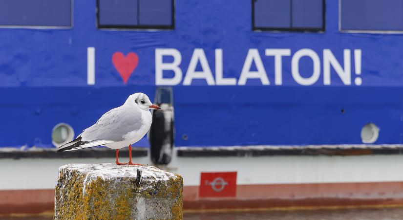 Fontos változás élesedett a Balatonnál: erre jobb, ha odafigyelnek az autósok is