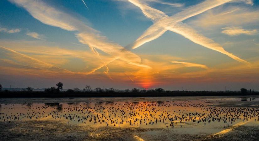 50 éves jubileumát ünnepli a Kiskunsági Nemzeti Park