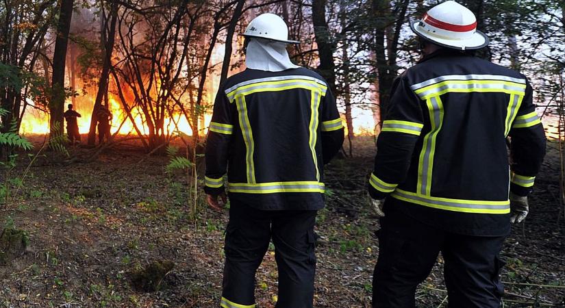 Szörnyű tűzvész pusztított Bács-Kiskunban, pár nap múlva megszűnik az Ügyfélkapu