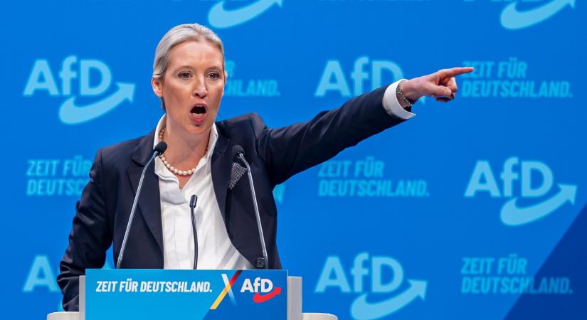 Ügyes húzással mentette meg ifjúsági szervezetét az AfD