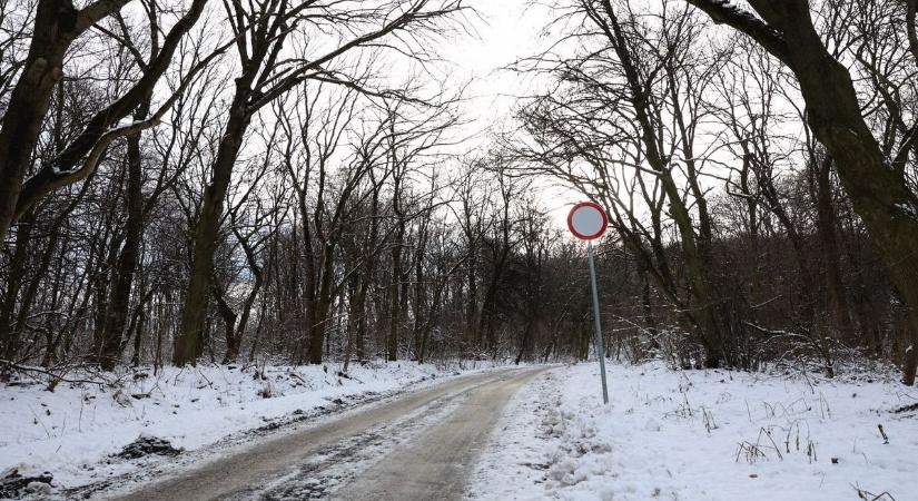 Nincs apelláta: maradt a behajtani tilos tábla a tokaji Kopasz-hegyen