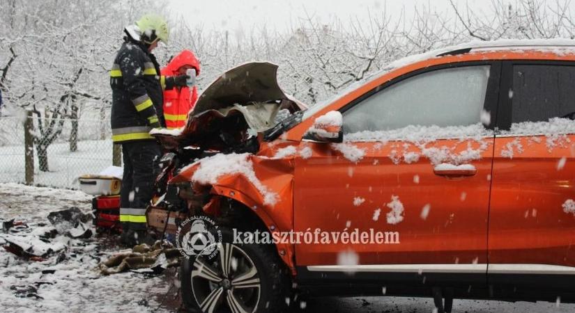 Halálos közlekedési baleset, madárinfluenza Nyírbátorban, elszabadult kutya Nyíregyházán - ezek voltak a hét legolvasottabb hírei!