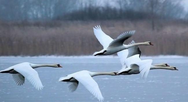 Idén ünnepli fennállásának 50. évfordulóját a Kiskunsági Nemzeti Park