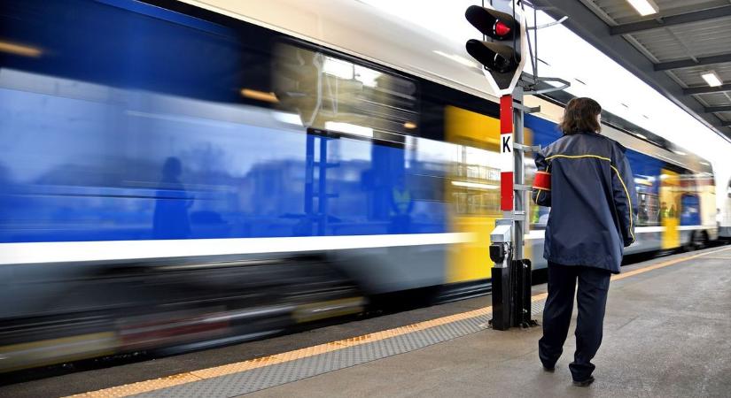 A Szombathelyről induló Bakony InterCity Vépnél elütött egy szarvast