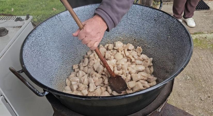 Sercegett a zsír, pörkölődött a töpörtyű Somogytarnócán