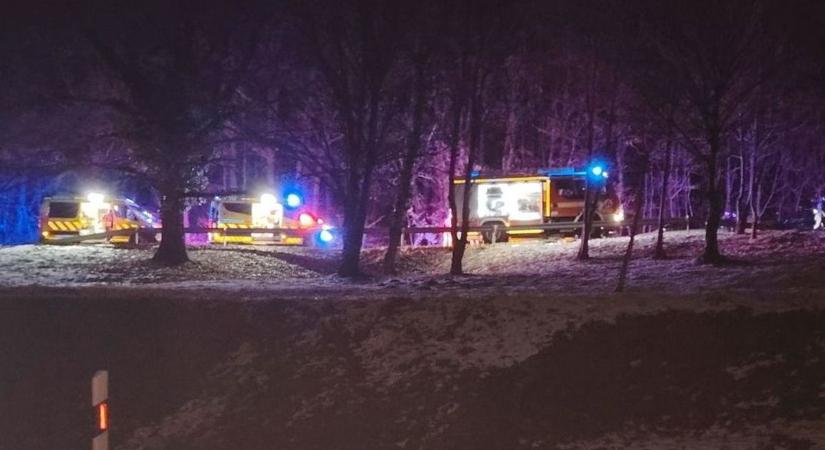 Őzek okoztak súlyos balesetet Komló határában, útzárat telepítettek a rendőrök