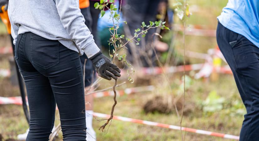 Agrárminisztérium: idén is folytatódik a magyar települések zöldítése