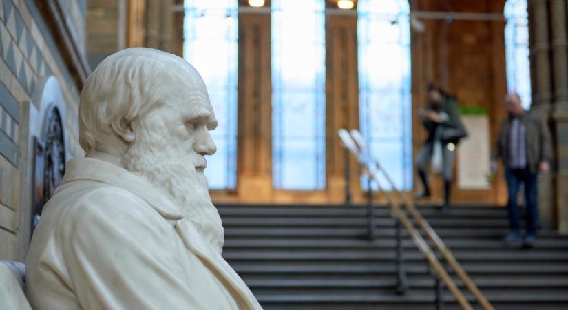 Környezetvédelmi aktivisták megrongálták Charles Darwin síremlékét Londonban