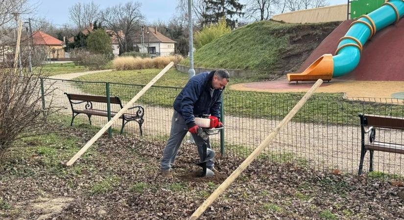 Facsemetéket ültettek a tiszafüredi játszótéren