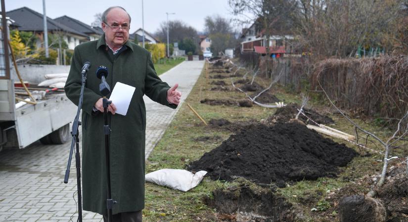 Tovább zöldítik a magyar vidéket