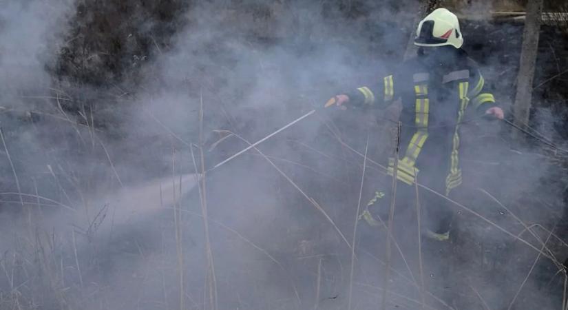 Szabadtéri tűzhöz siettek a tűzoltók helyszíni fotók