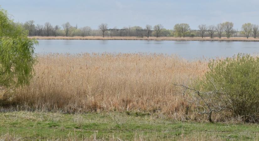 Idén ünnepli fennállásának 50. évfordulóját a Kiskunsági Nemzeti Park