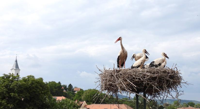 A világ legjobbjai közé kerülhet egy magyar város