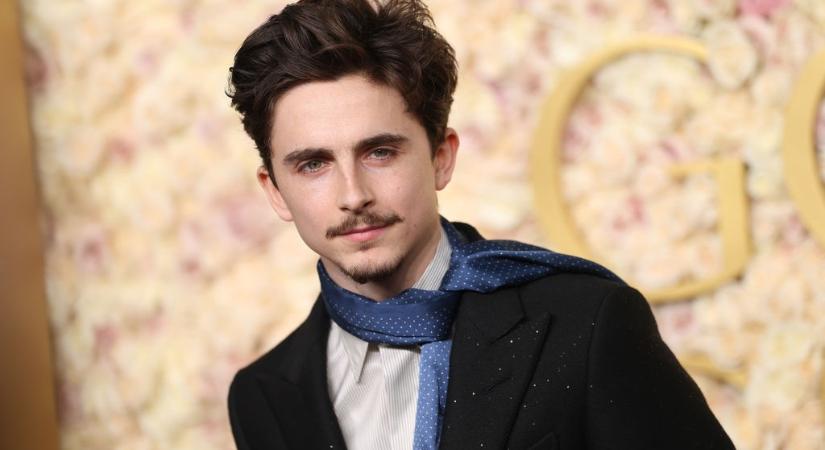 Csak pislogunk: Timothée Chalamet úgy jelent meg új filmje premierjén, ahogyan híresség még soha