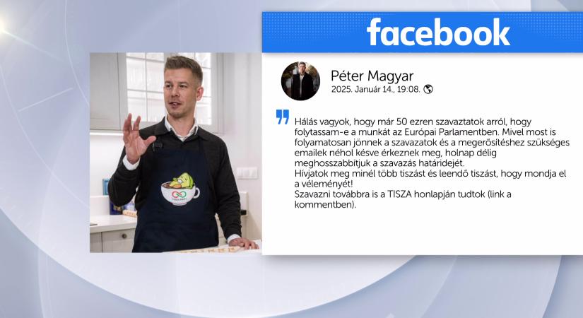 Törvénytelen lehet a Magyar Péterről szóló szavazás a Fidesz EP-képviselője szerint  videó