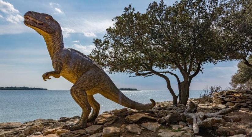 Amikor még dinoszauruszok uralták az Isztriát