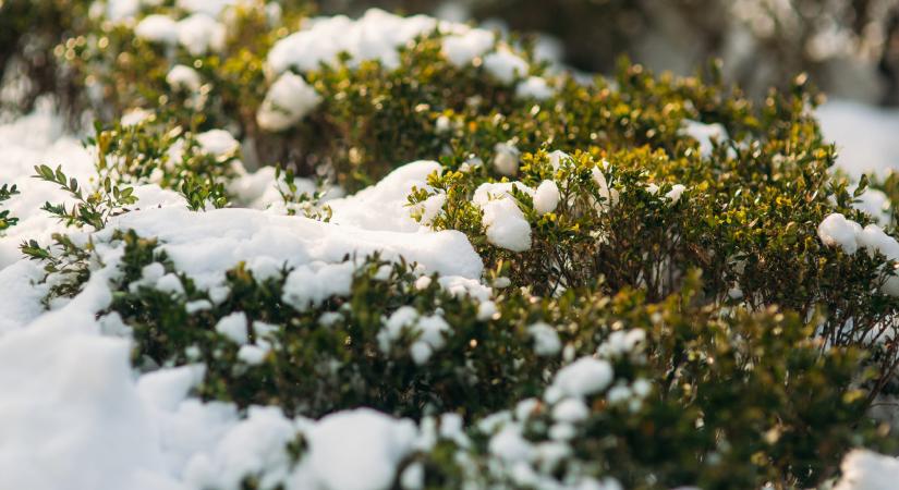 Így segíti a hó a Föld energiaegyensúlyát