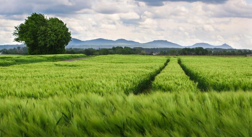 Az Eurobarométer felmérés erős támogatást mutat a Közös Agrárpolitika iránt