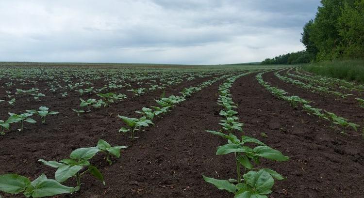 Utolsó helyek az AGRÁRTRENDEK Konferenciára!