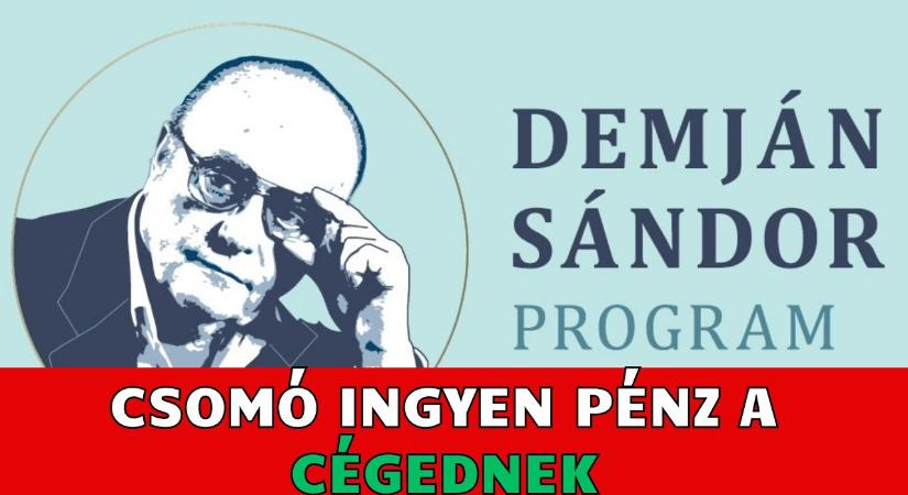 A Ginop helyett itt a Demján Sándor Program. Pályázat 2025