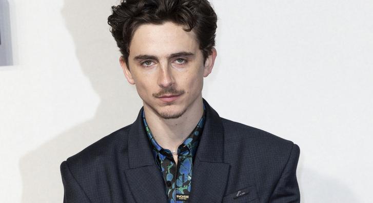 Megbírságolták Timothée Chalamet-t szokatlan vörös szőnyeges bevonulása után