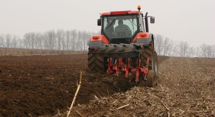 Jól jártunk az első hektárok kiemelt támogatásával