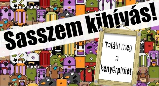 Kvíz: Sasszem kihívás! Találd meg a kenyérpirítót a poggyászok között 43 másodperc alatt!