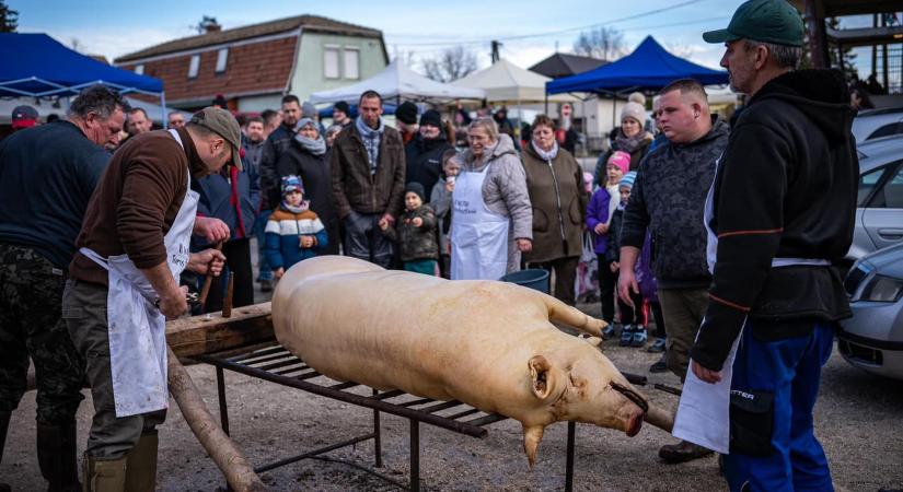 Inotai Toros Fesztivál 2025 Várpalota