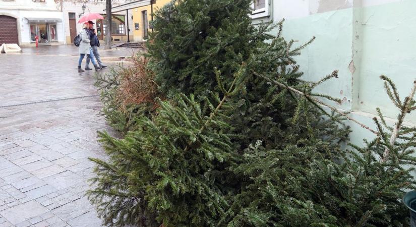 Karácsonyfák: meleget adnak az ünnep kiszuperált díszei