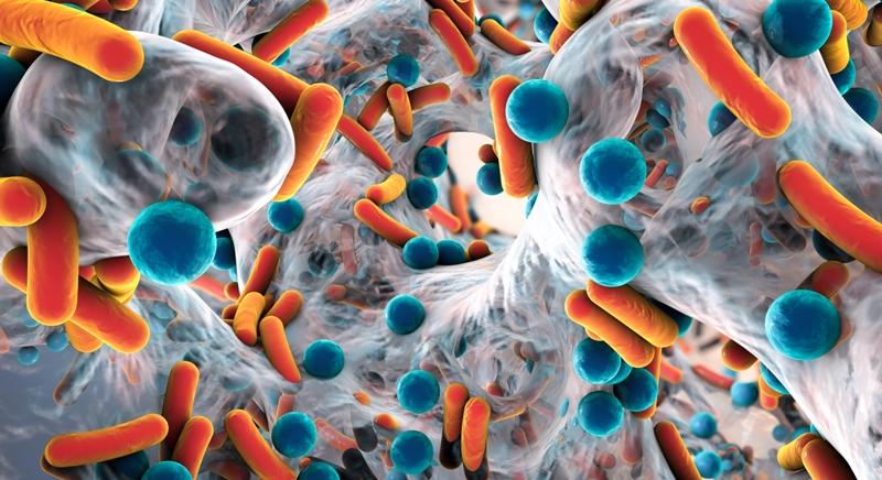 Aggasztó felfedezés az antibiotikumokról: Sürgősen új fejlesztésekre van szükség